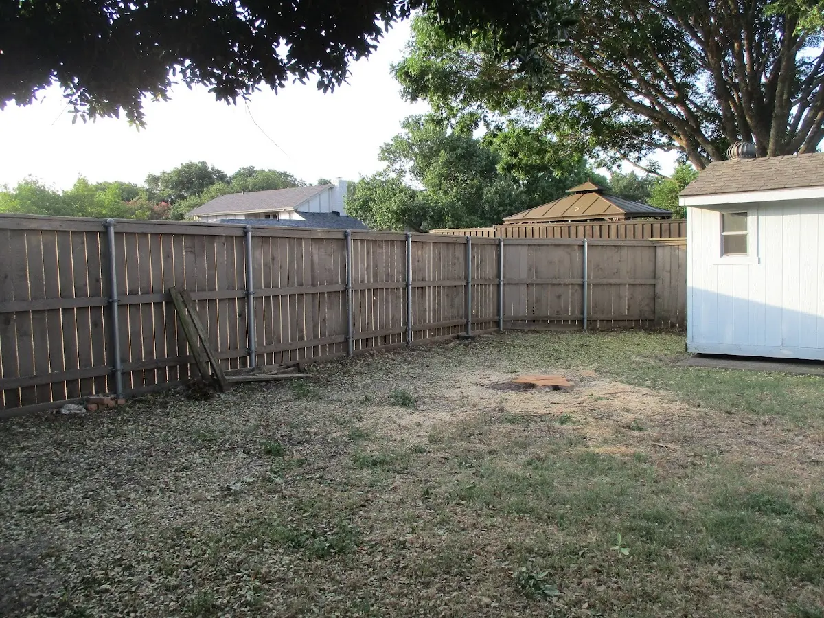 Cleared yard after professional tree removal in Anderson